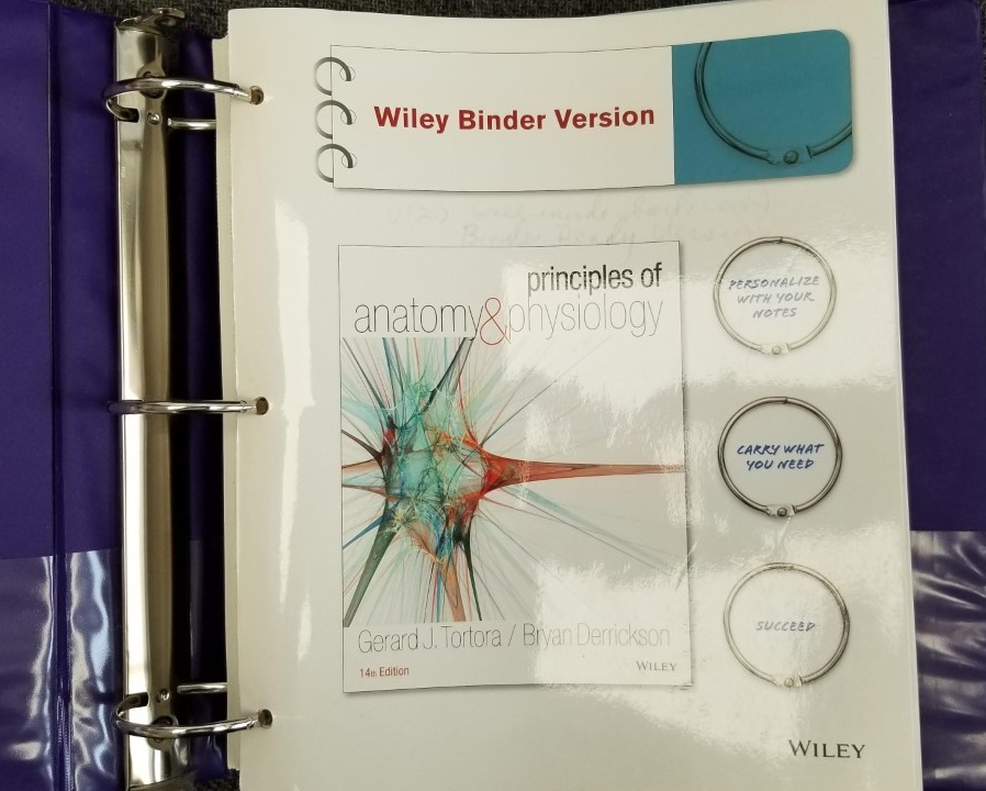 anatomy and physiology tortora 14th edition