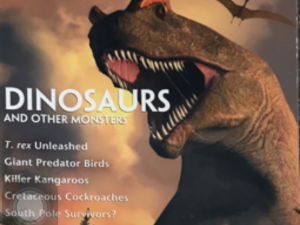 2004 ~ Special Edition ~ Scientific American Magazine