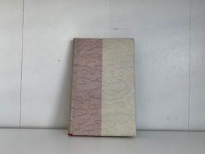 1908- Diary of a Trip to Rome — George W. Middleton — Rare Dust jacket! — Hardbound