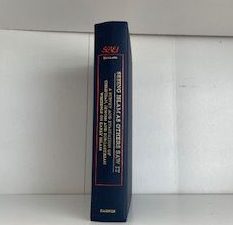 1997-Seeing Islam as Others Saw It- Robert G. Hoyland