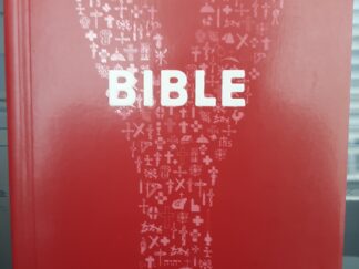 Youcat Bible (Youth Bible of the Catholic Church) (2015)