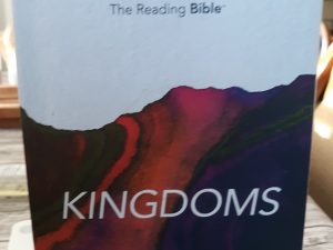 Immerse: The Reading Bible: Kingdoms (2017)