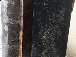 Skandinaviens Stjerne: 1885-1886 (Danish) (1886)