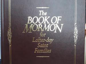 The Book of Mormon for Latter-day Saint Families w/ Free Plastic Bookmark (Leather) (1999) ~ Edited by Thomas R. Valletta