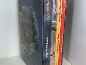 Mary Summer Rain’s first four books of the “No Eyes” Series (SET) -see details-