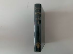 1877-The Luck of Roaring Camp and other Sketches- Bret Harte