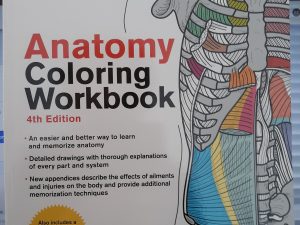 Anatomy Coloring Workbook (4th Edition) (2017) ~ by I. Edward Alcamo, Ph.D.
