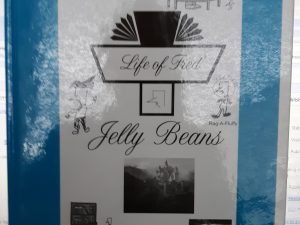 Life of Fred: Jelly Beans (2016) ~ by Stanley F. Schmidt