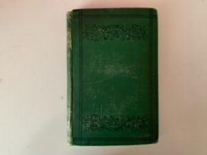 1873- Silverland- George Alfred Lawrence