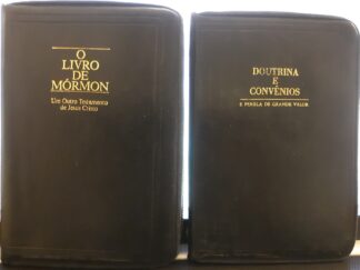 2 Leather-bound LDS Books in Portugese (See Details)