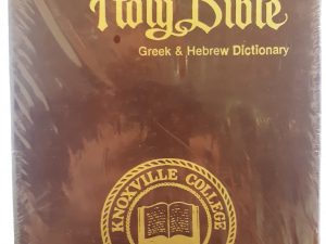 Holy Bible Greek & Hebrew Dictionary: King James Version: Giant Print (Leather)