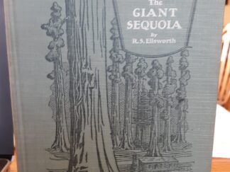The Giant Sequoia (1924) ~ by R. S. Ellsworth