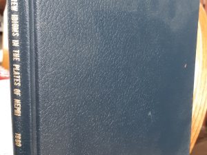 Hebrew Idioms in the Plates of Nephi (Photocopied & Bound) (1960) ~ by E.C. Bramwell