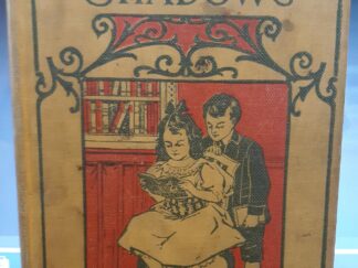 Sunbeams and Shadows On Little Paths