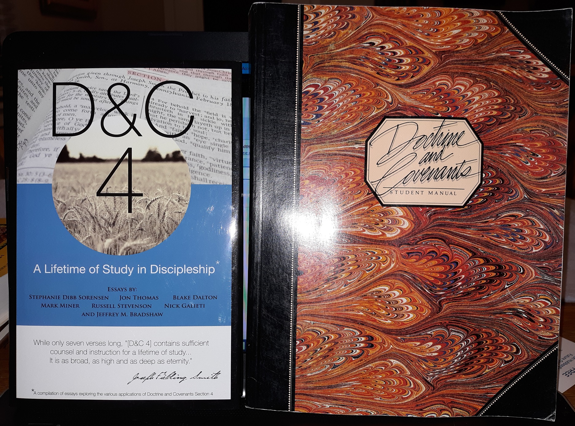 2 Books About the Doctrine and Covenants (See Details)