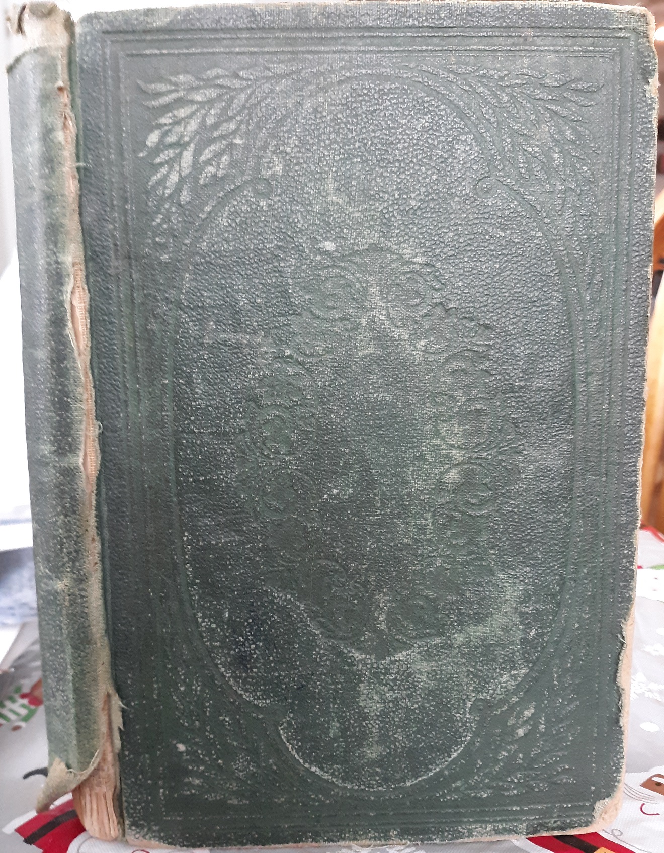 The Mormon Wife; A Life Story of the Sacrifices, Sorrows and Sufferings of Woman (1873) ~ by The Wife of a Mormon Elder