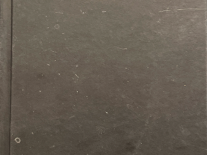 2005 ~ Melissa Kantor ~ If I Have a Wicked Stepmother Where’s My Prince?