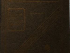 1904 ~ Lycurgus A. Wilson ~ Life of David W. Patten