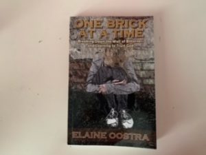 2016- One Brick at a Time- Elaine Oostra- signed!