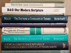 Collection of 17 Books on the Doctrine and Covenants
