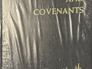Doctrine and Covenants ~ New in plastic!
