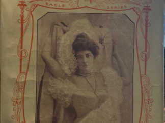 1901 ~ Mrs. Georgie Sheldon ~ A Hoiden's Conquest ~ Eagle Series No. 244
