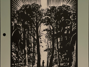 1989 ~ Doctrine and Covenants/ Church History ~ Student Manual (Unbound)