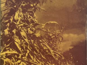 1939 ~ The Relief Society Magazine ~ October, Vol. 16, No. 10