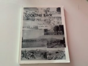 1999- Sanpete county fair book: Looking Back