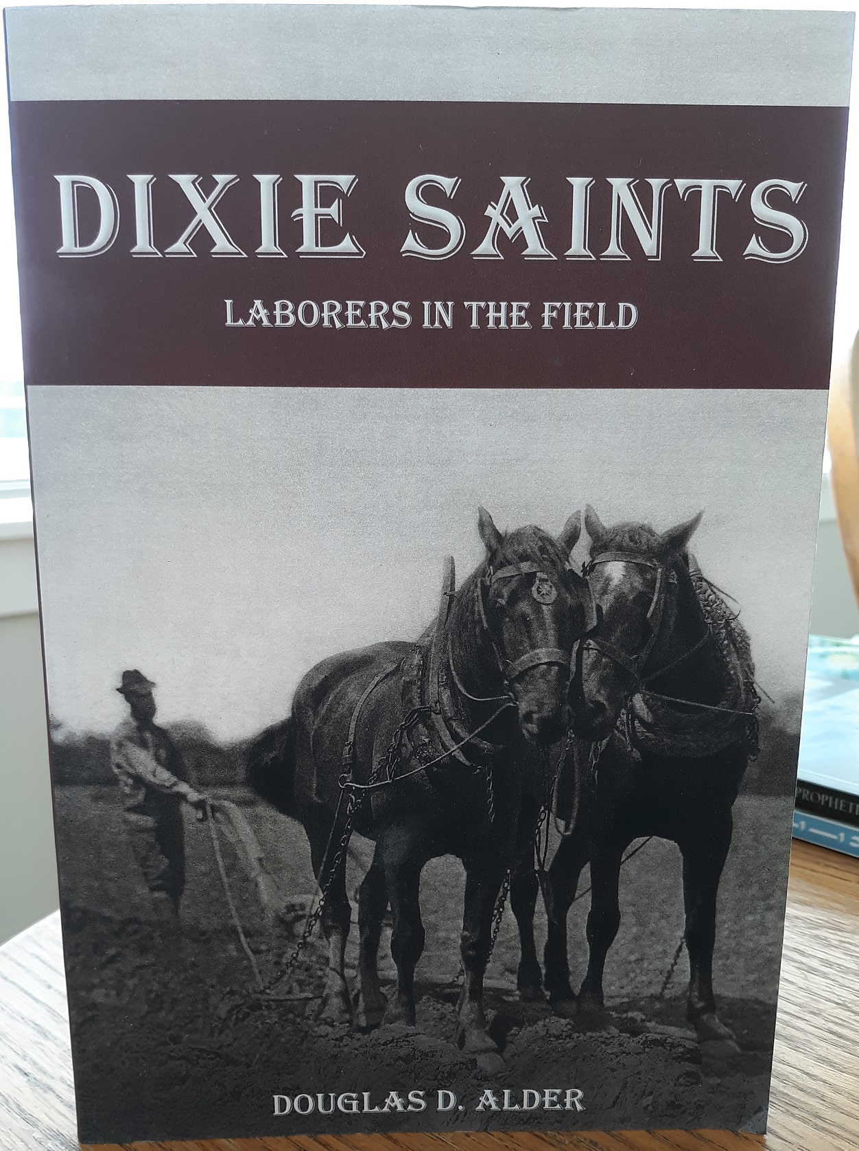 Dixie Saints: Laborers in the Field (2017) ~ by Douglas D. Alder