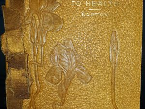 Faith As Related to Health (Leather) (1901) ~ by William E. Barton, D. D.