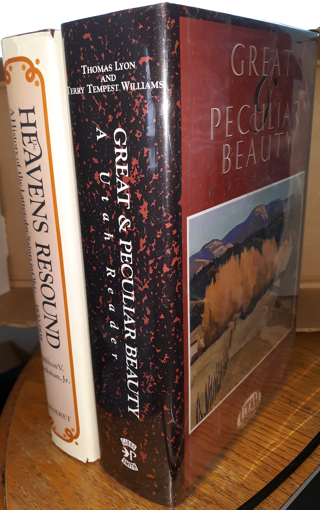 2 Book Bundle (See Details)