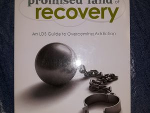 The Promised Land of Recovery: An LDS Guide to Overcoming Addiction (2010) ~ by Brad Bertelsen