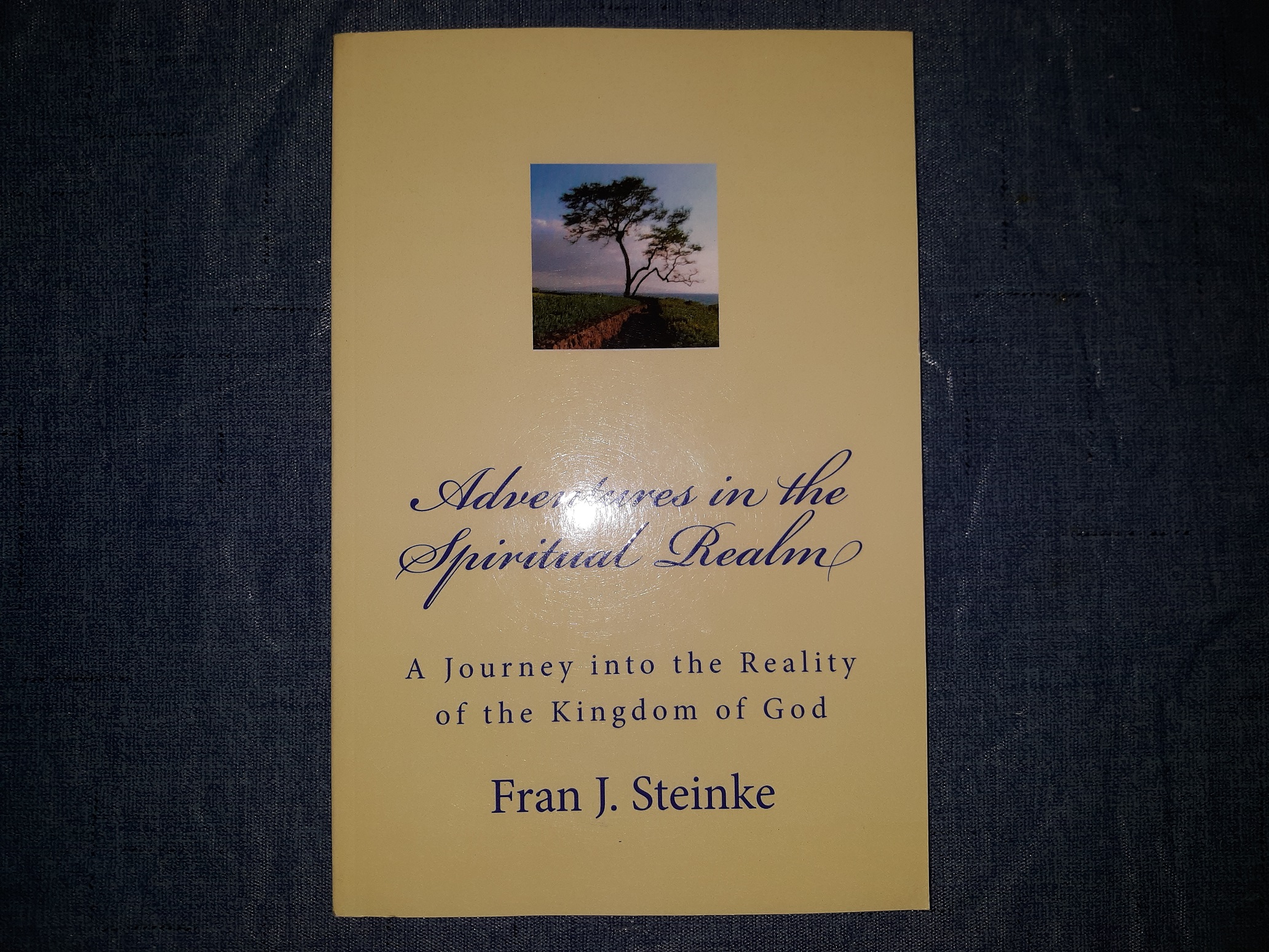 Adventures in the Spiritual Realm: A Journey into the Reality of the Kingdom of God (2015) ~ by Fran J. Steinke