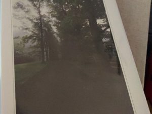 1991 ~ Scot Facer Proctor ~ Witness of the Light ~ Limited Copies ~ #312 of 500