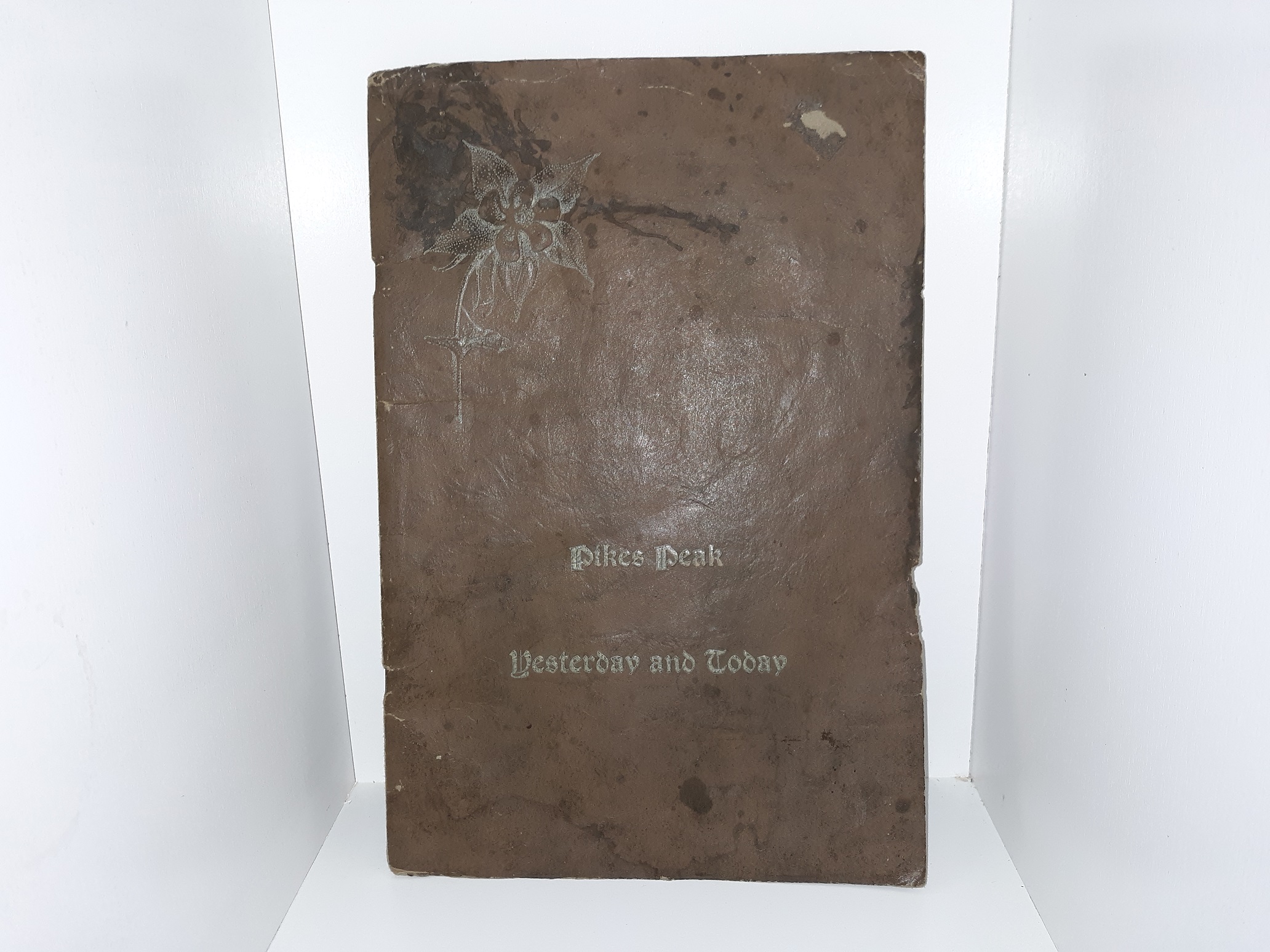 Pikes Peak Yesterday and Today (1926) ~ by Laura T. Mecum