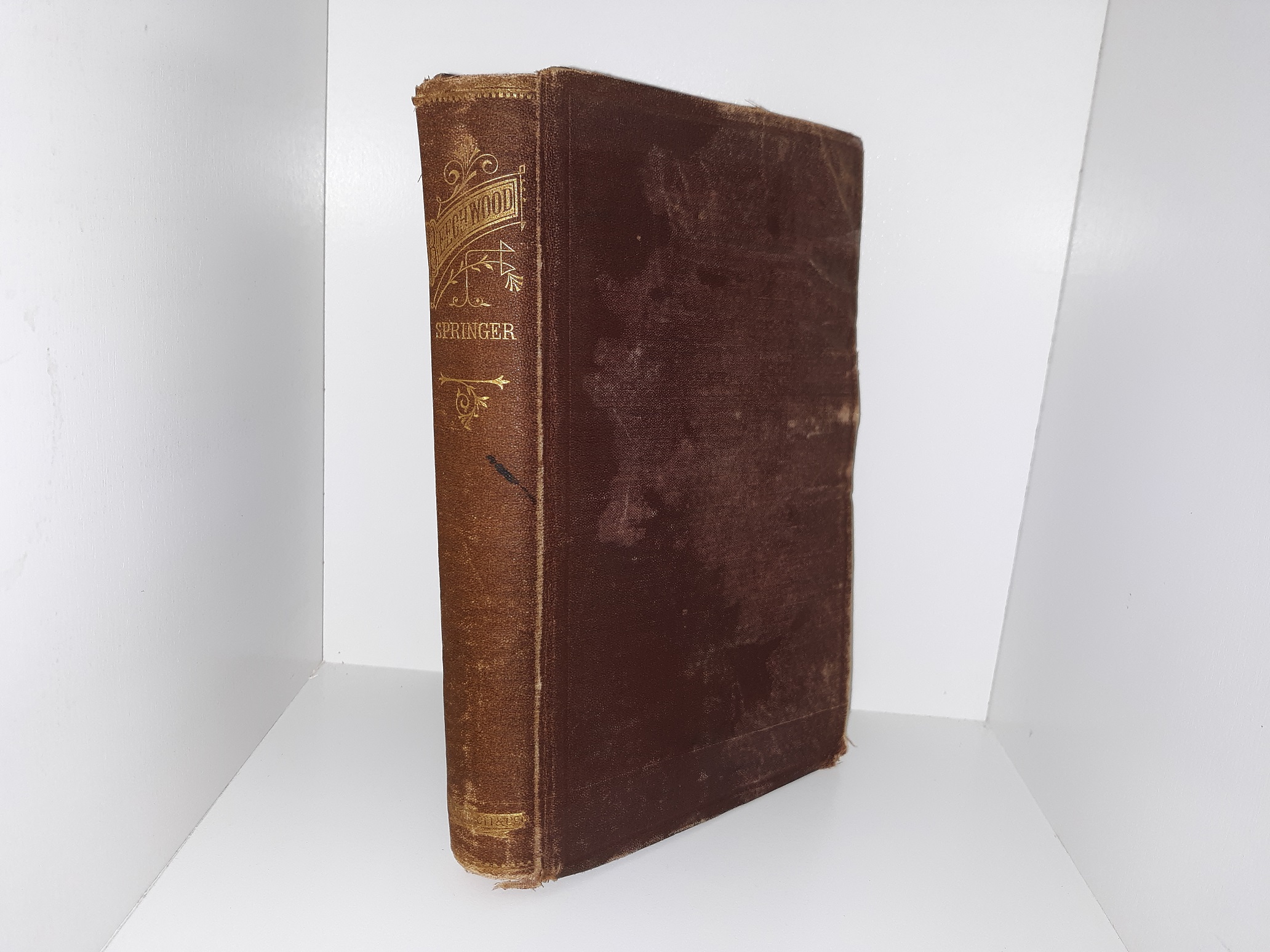 Beechwood (1873) ~ by Rebecca Ruter Springer