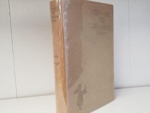 1902 — Through the Looking Glass — Rare Dust Jacket (in Mylar cover) — Lewis Carroll — Illustrated by Peter Newell