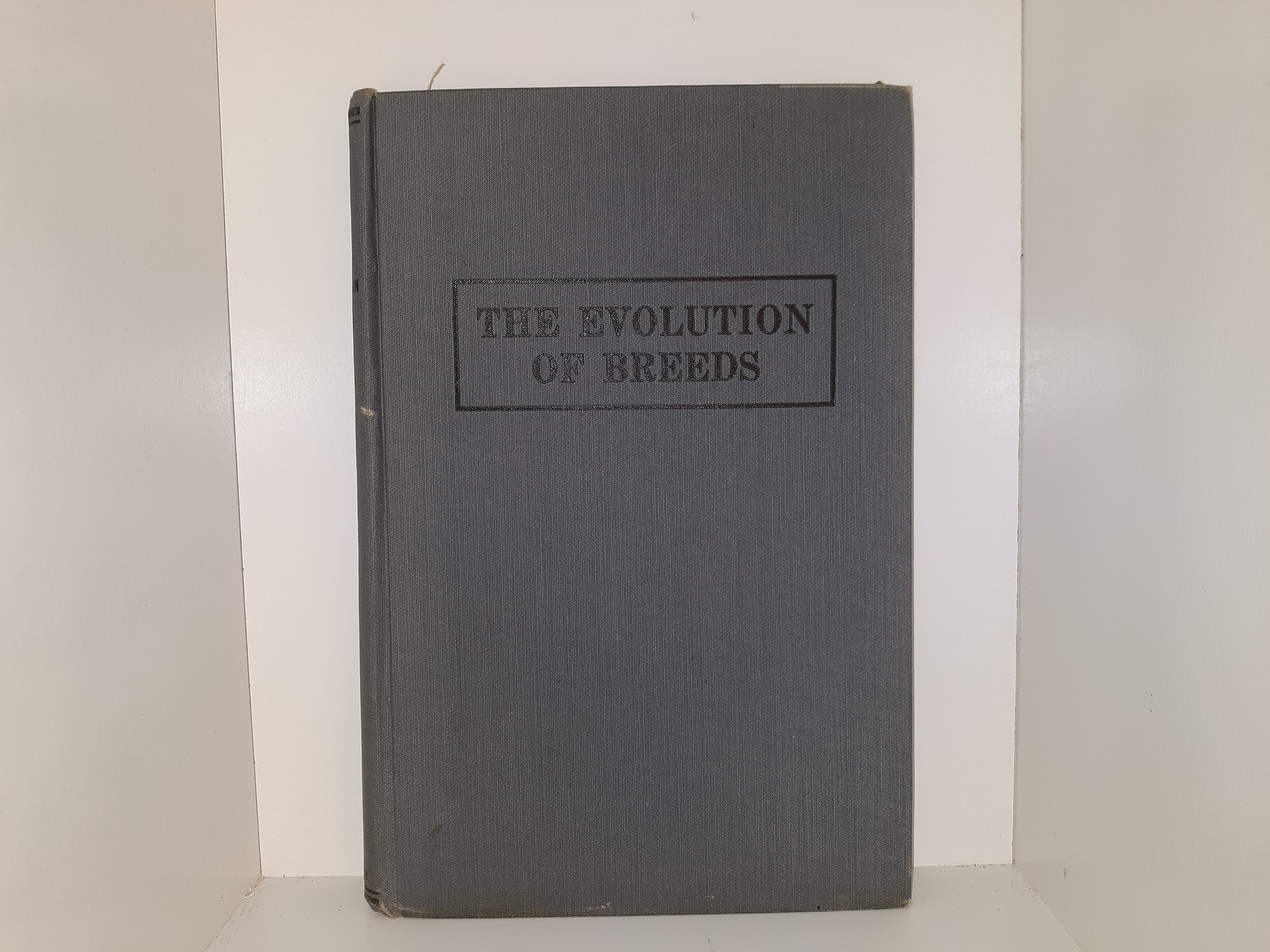 The Evolution of Breeds (1923) ~ by Donald F. Malin