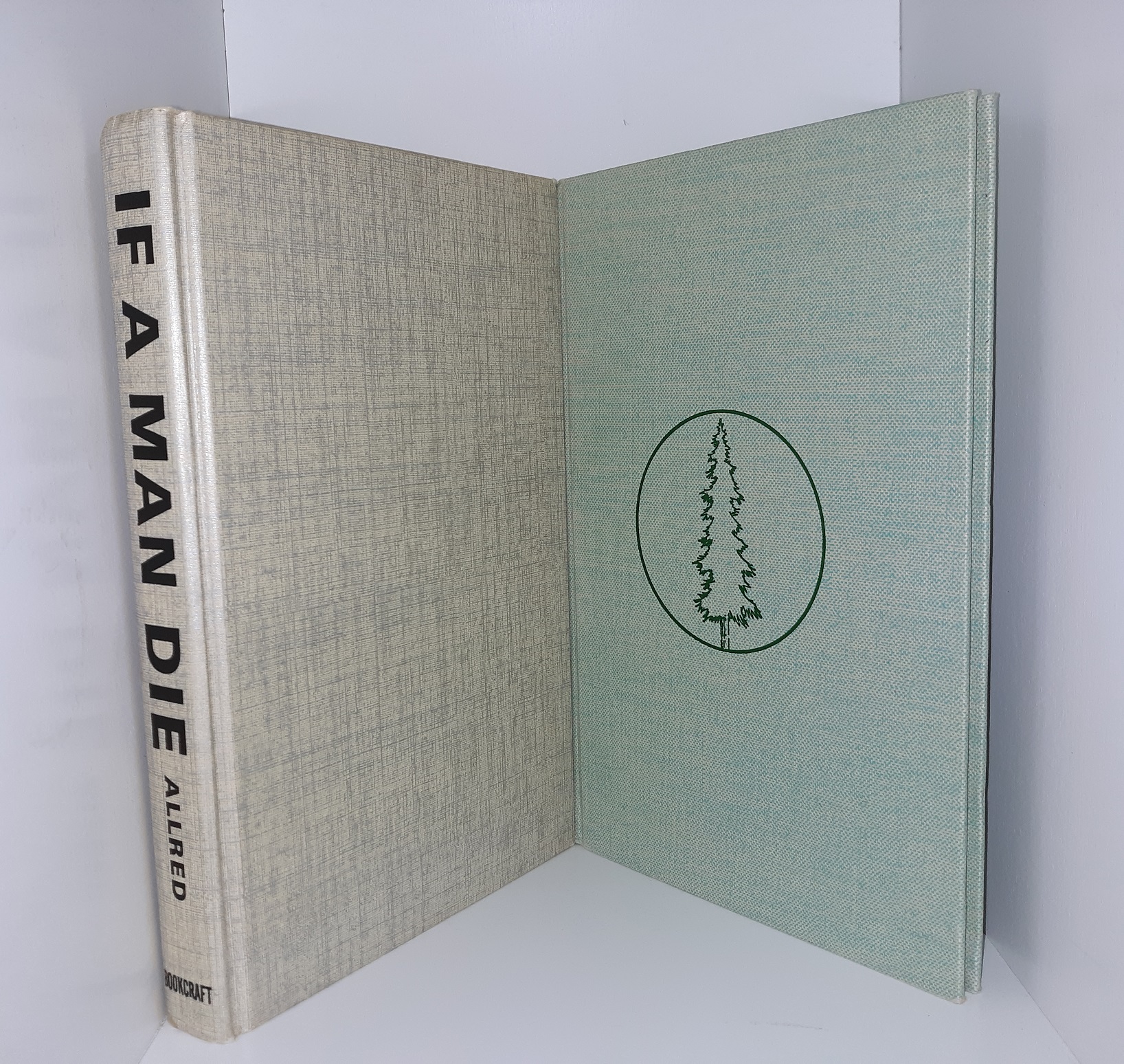 2 LDS Books on Death (See Details)