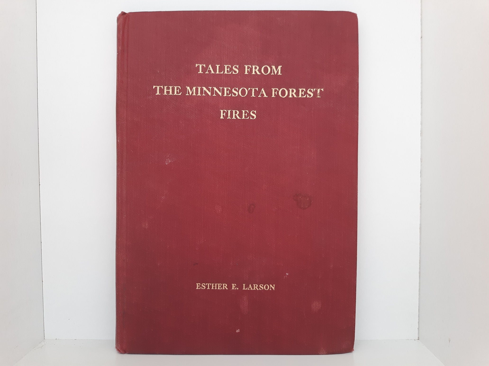 Tales from the Minnesota Forest Fires (1912) ~ by Esther E. Larson