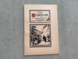 1932- The Condor Volume XXXIV November-December Number 6