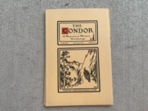 1920- The Condor Volume XXII September-October Number 5