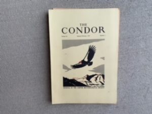 1967- The Condor Volume 69 January-February  Number 1