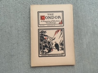 1941- The Condor Volume 43 November-December Number 6