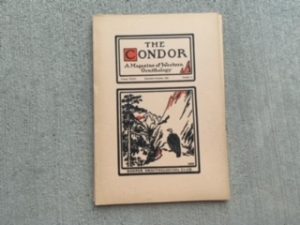 1918- The Condor Volume XX July-August Number 4