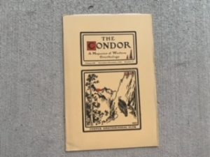1939- The Condor Volume XLI November-December Number 6