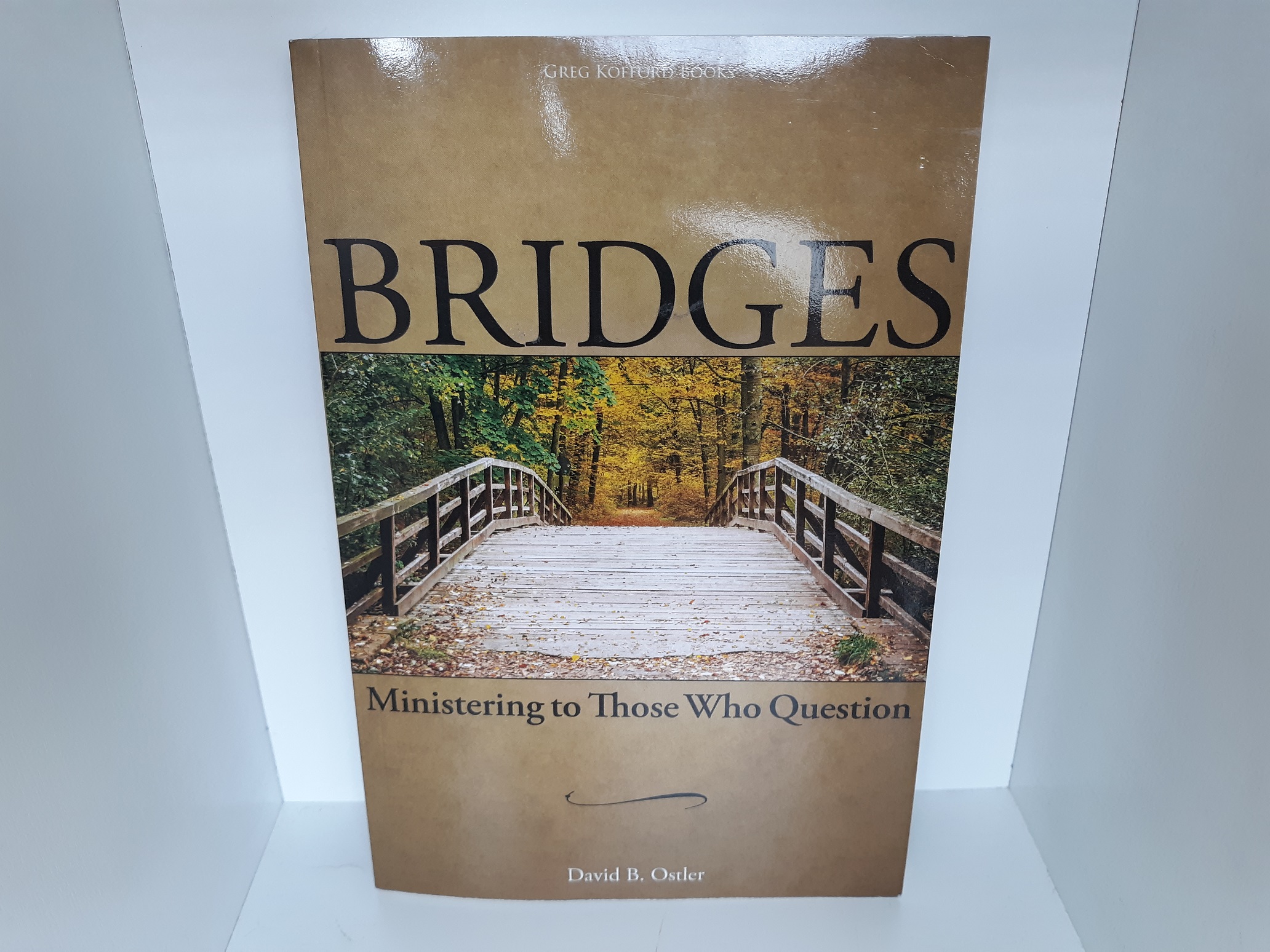 Bridges: Ministering to Those Who Question (2019) ~ by David B. Ostler