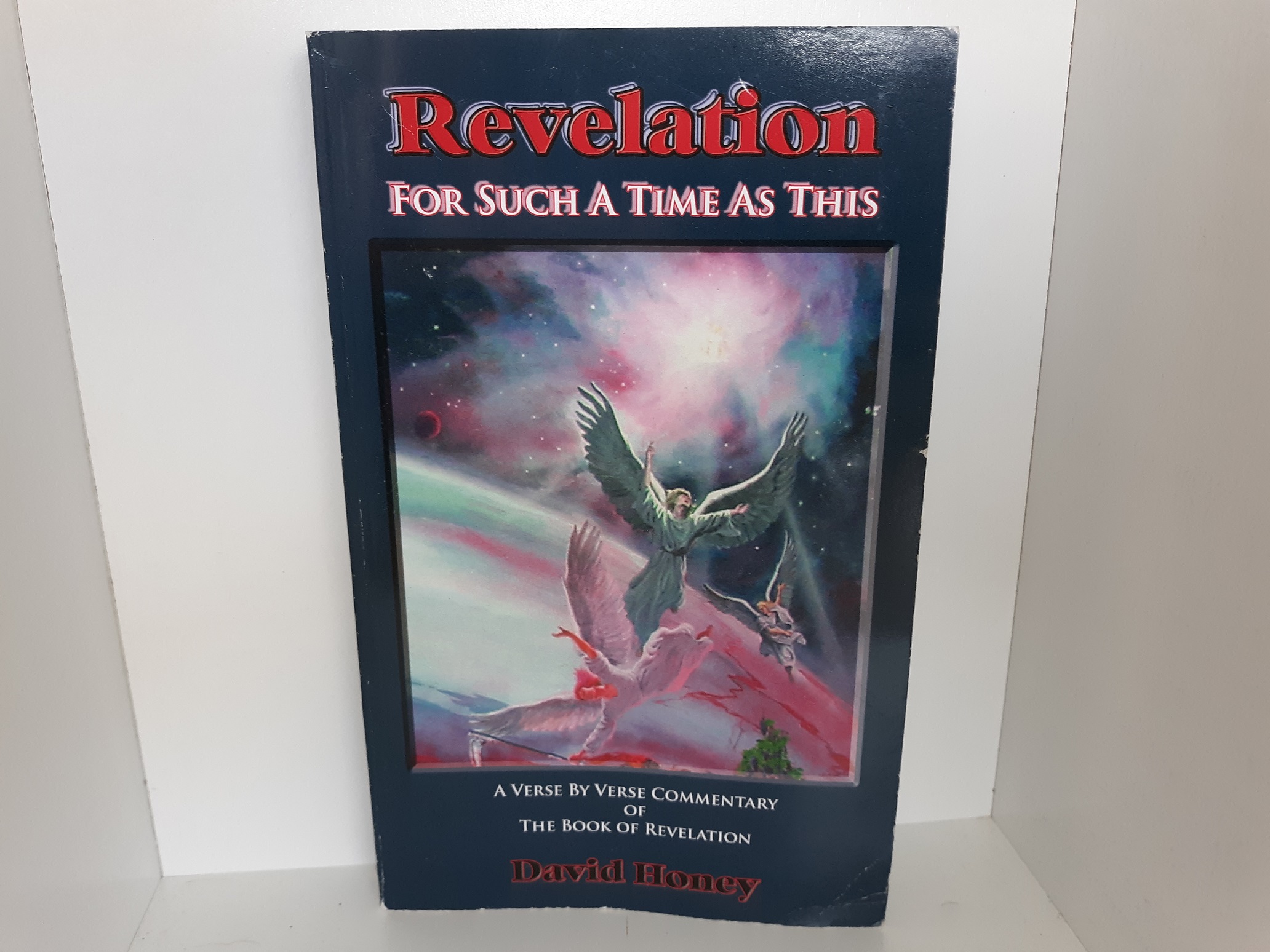 Revelation For Such a Time as This (Signed and Inscribed) (2011) ~ by David Honey