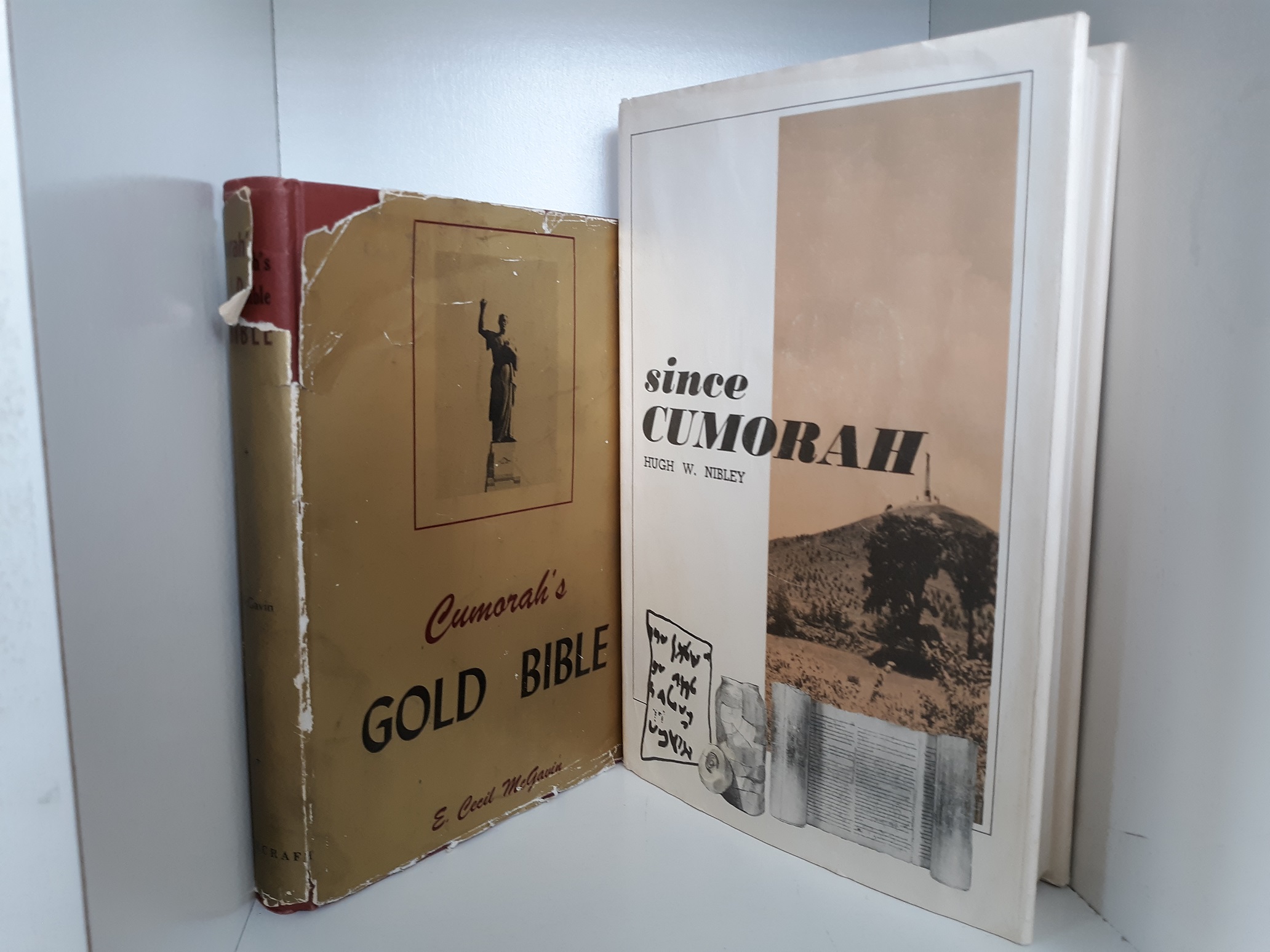 2 LDS Books on the Book of Mormon (See Details)